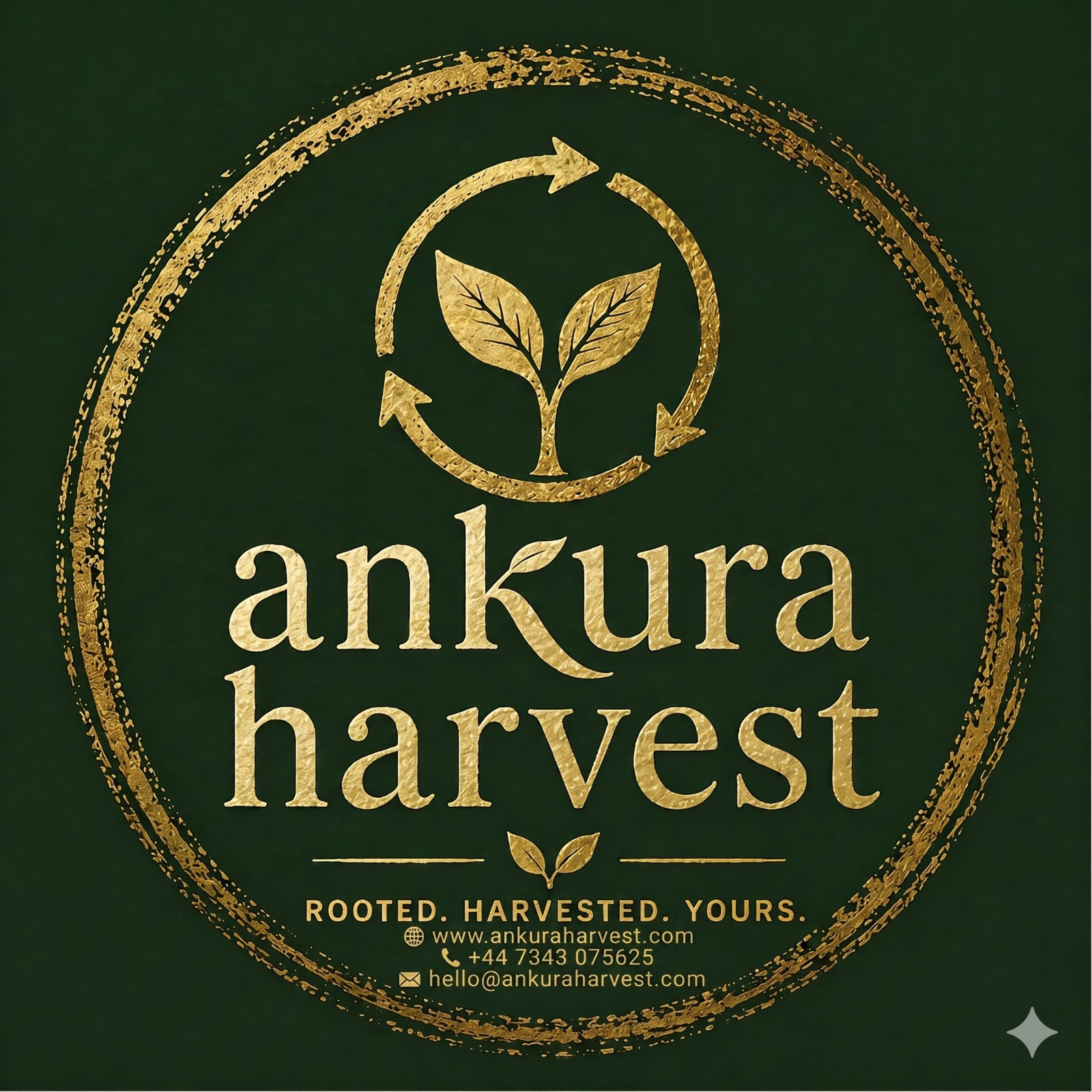 Ankura Harvest